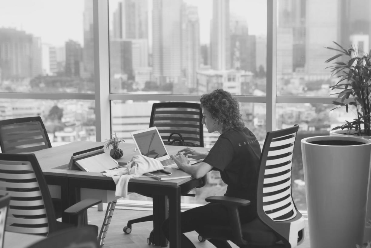 E-commerce analytics dashboard showing search performance metrics